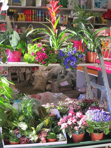 Hort i Jardí - Cassa de la Selva