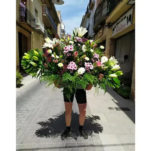 Can Fontdeglòria - Floristería en Santa Coloma de Farners