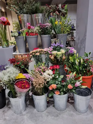 Cardona floristeria - Palamós
