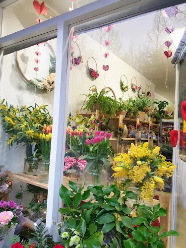 Calçats i Floristeria Sandra
