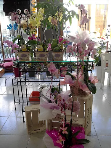 Dalia flors