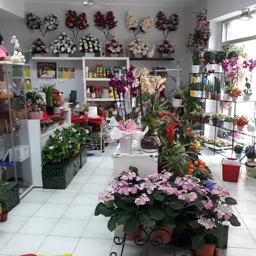 Vesc Floristeria