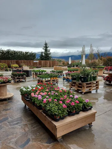 JARDITEC TRILLES