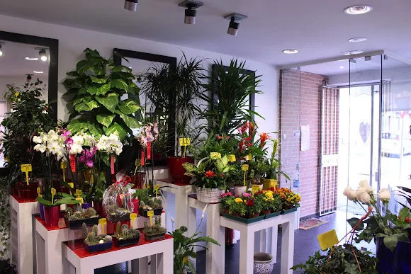 Floristería David Calleja - Azuqueca de Henares