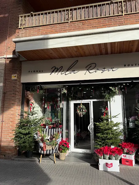 Mila Rosa - Floristeria - Lloret de Mar