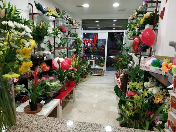 Floristeria Primavera