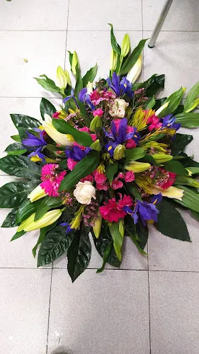 Palmira Casa Floral