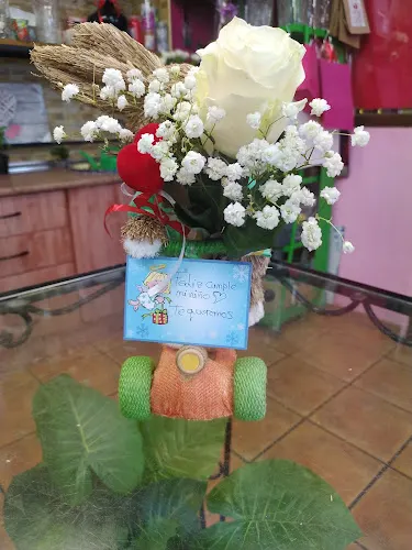 Floristeria, decoracion, plantas y arte floral VIOLETA - Floristería en Illora
