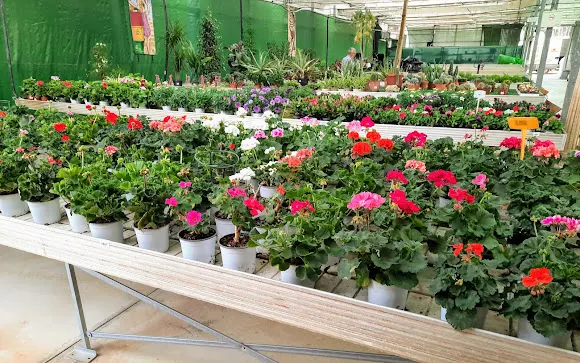 Expo Jardin Granada - Floristería en Benameji