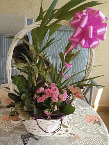 Floristería Los Geranios - Salobreña