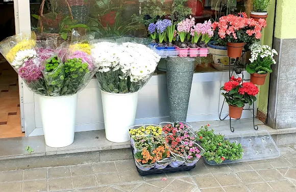 Carmen Reyes Floristas - Granada