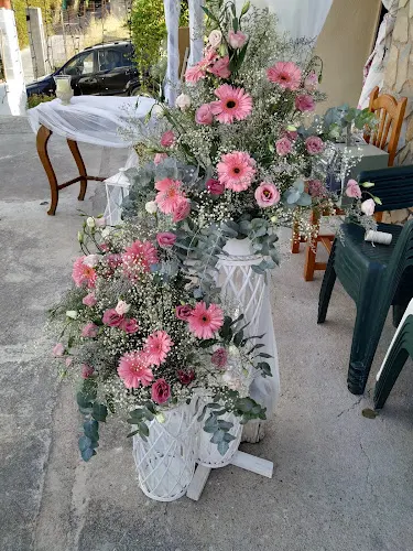Floristeria Roge - Cuevas del Campo