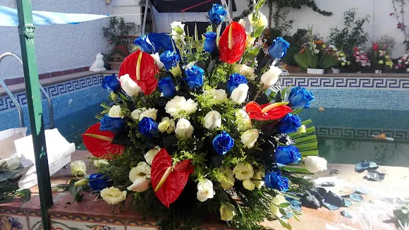 Floristeria Kika - Alfacar