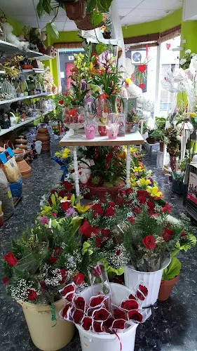 Floristería Cano