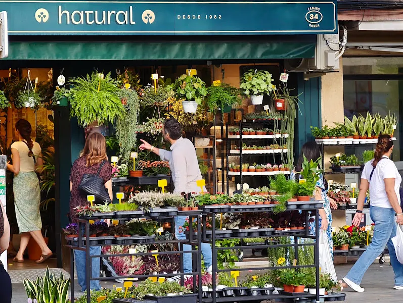 Floristería Granada - Floristas Hatural - Granada