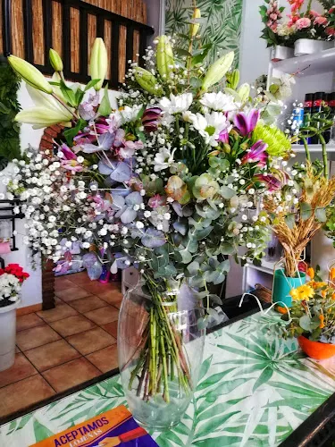 Floristería La Rosa - Loja - Loja
