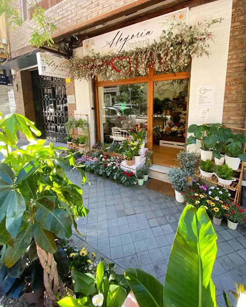 Alegoría Floristería - Granada