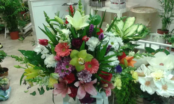Floristerias en santafe