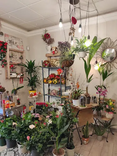 Flor de las Nieves Floristería