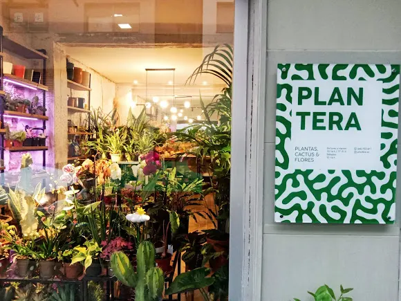 Floristería PLANTERA - Granada