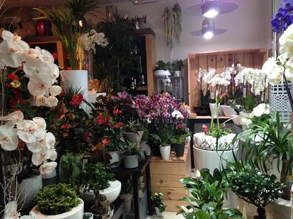 Floristería Romanos