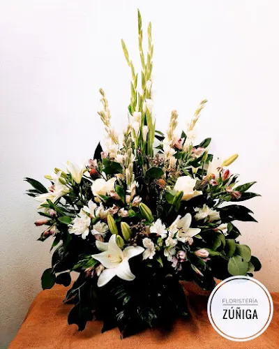 Floristería Zúñiga