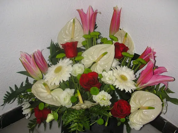Floristería Tropical.