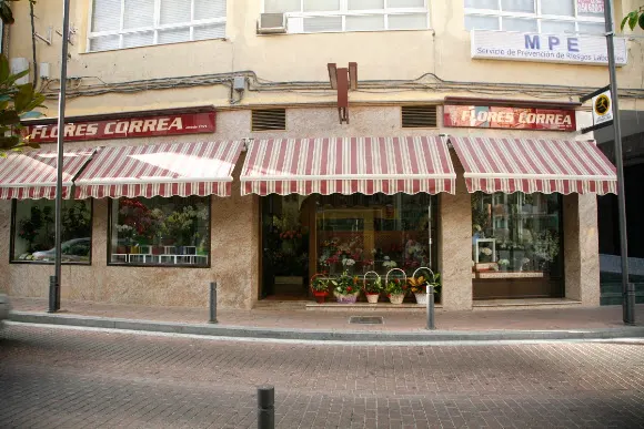 FLORISTERÍA CORREA