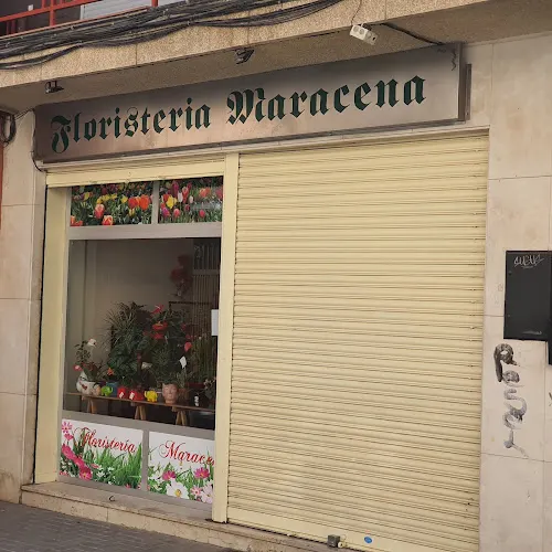 Floristería Maracena