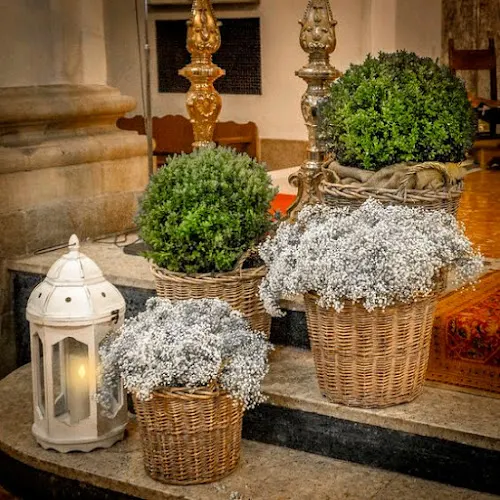 Floristerías La Mimosa