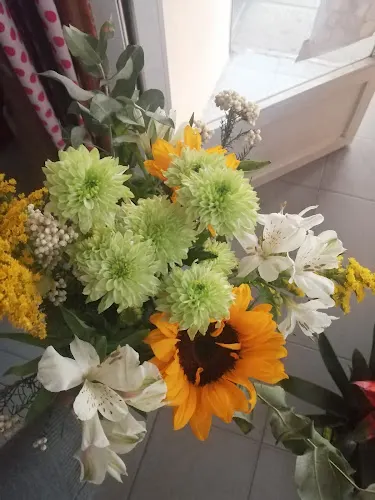 Flores Jazmin - Guadalajara