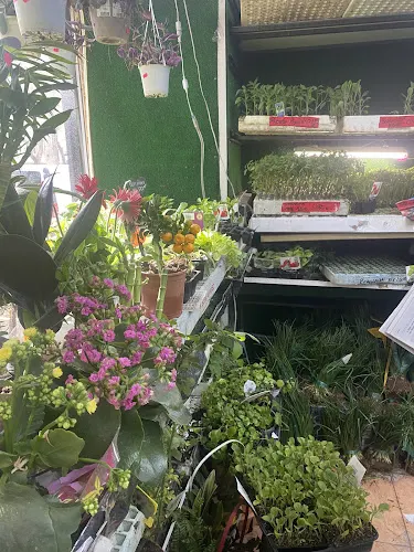 El Testarro Huerta Madrid