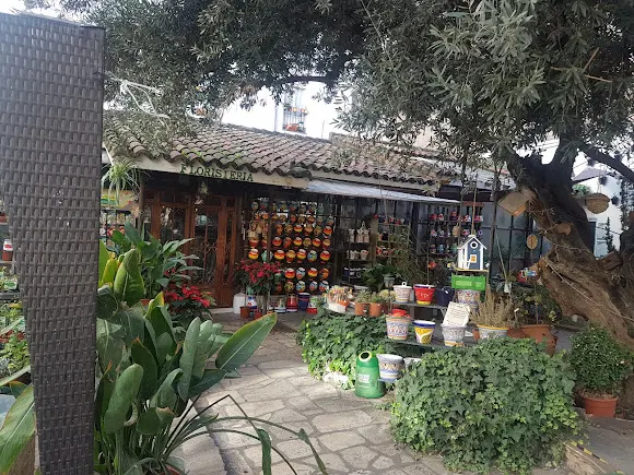 Lola De Castro Floristería