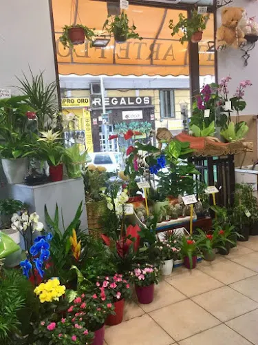 Floristería la flor de la canela. Flores a domicilio Madrid.