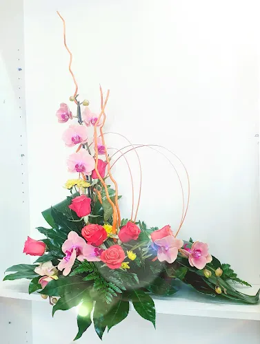 Floristería Colores