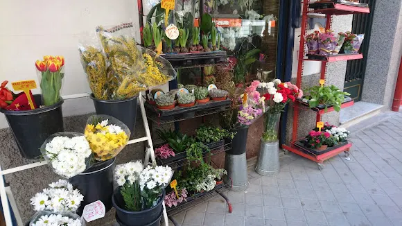 J.V.Floristas