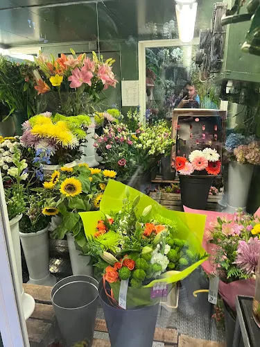 Las Camelias Diseño Floral