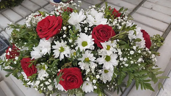 Vivero El Casar - El Casar