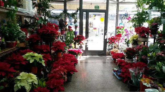 Floristería Pétalos