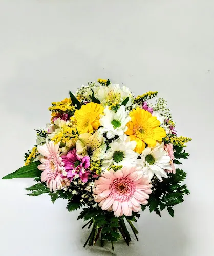 Floristería Artifresia Floristas