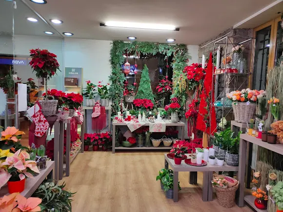 Floristería Goilore