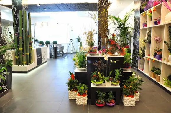 Floristería ARANTZA LORADENDA Zarautz - Zarautz