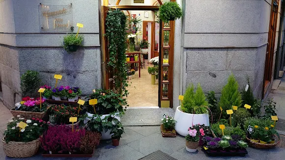 Floristería Clemente
