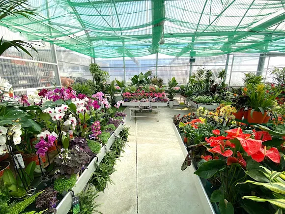 Aduna Garden