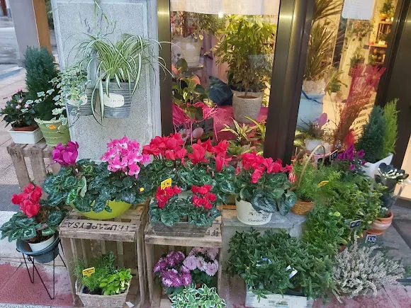 Floristería Edurne