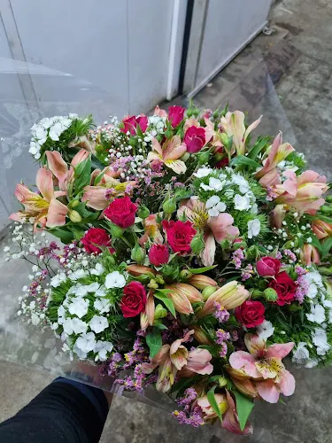Flores Lizardi (Astigarraga)