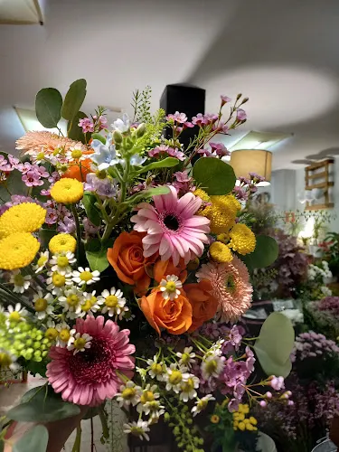 Floristería HIRUBELAR Irun