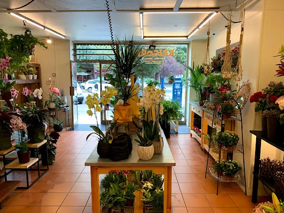 Floristeria Baigorri