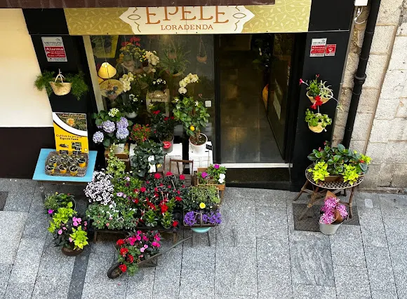 EPELE LORADENDA - Floristería en Hernani