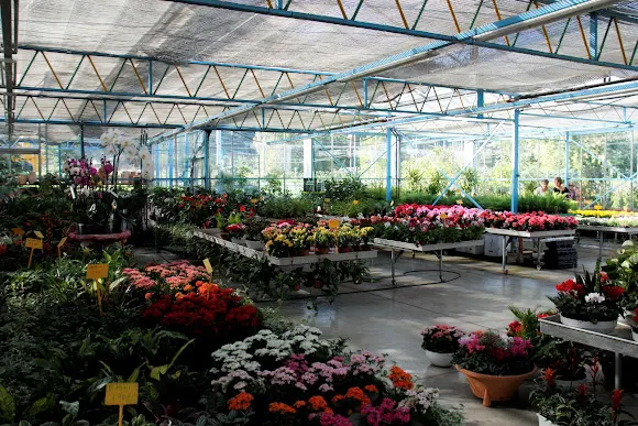 Arretxe Lorategiak - Floristería en Tolosa